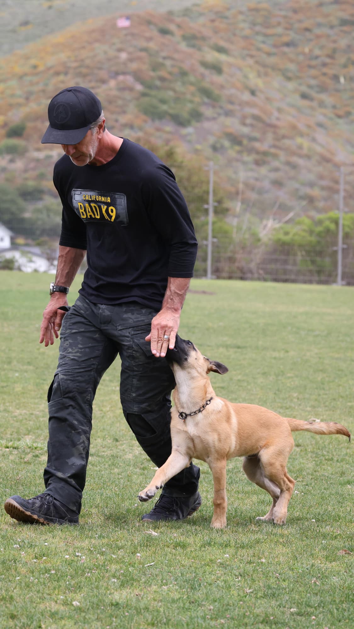 Robert Cabral professional dog trainer
