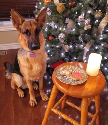 IMG_20201208_1815487