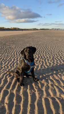 PXL_20210108_151000275