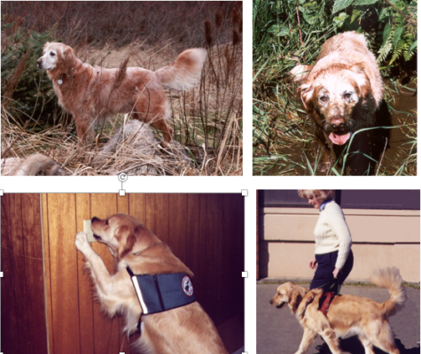 Screen Shot 2021-01-14 at 12.39.21 PM