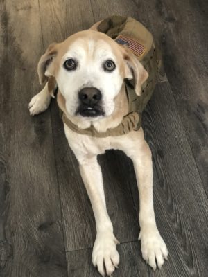 2FD603E5-7704-4E8C-BA38-1FB44C9BB1F0