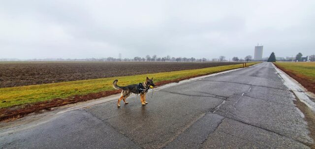 133049560_3566783003358627_5258558484896143492_o