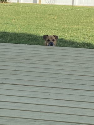 0209D930-01DA-4A20-A0BD-FDB71B4D754D