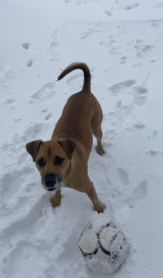 FAA24F11-F2D4-495D-94F8-974C44AC1B13