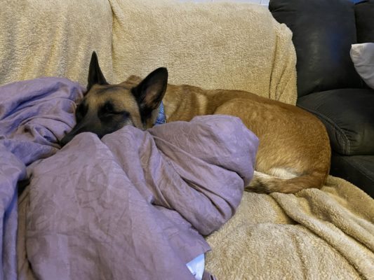 3AFBE315-32D3-4404-B0F6-A0A8D104DAC5