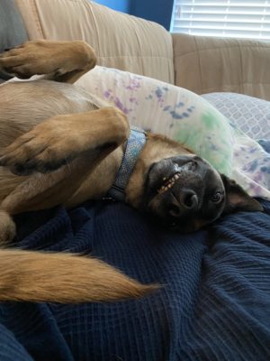 97D0871D-EBD7-4B06-B622-04B51ACD0DDD