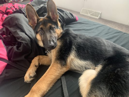 F6FFF95A-755F-405D-A55D-92BF71F450F9