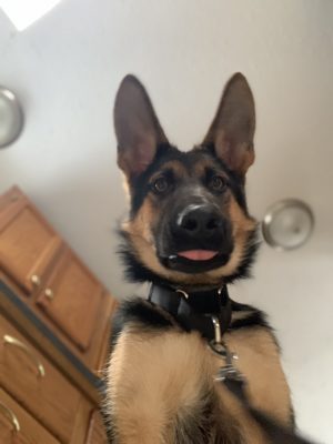 97307CD7-0CE6-4226-B8E7-9B6CE6D3D5A8