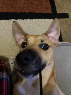 B94AB7CB-7222-4F0D-B3FC-7109167AAE6C