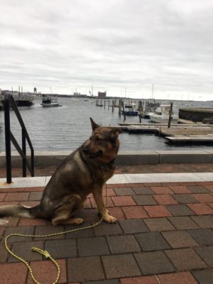 126182121_10159014937354087_4383411328628959617_n