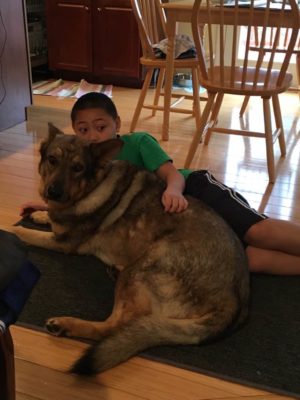 133817955_10159108770534087_5306359022095560715_n