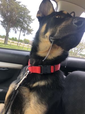 121ADC21-636F-4EA9-A894-ABE3544439C8