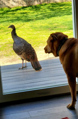 20200510_171055-picsay