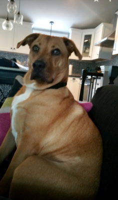 Screenshot_20210119-134515_Photos-picsay