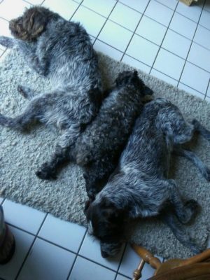 8348DF60-D651-4CAD-8B76-F65C2BBF1DEB