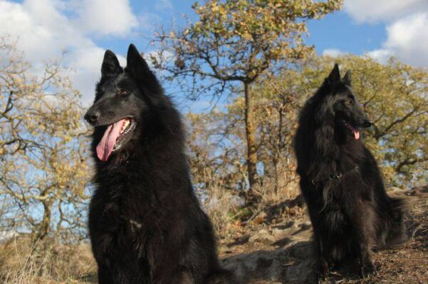 71113586_10220137155280744_3336458469594103808_n