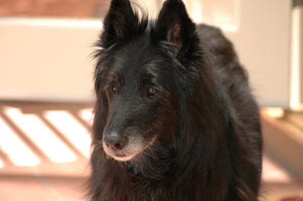 1931179_1061561140885_9145_n