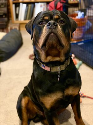 B9BE273D-D275-4B8A-9F01-4833888233B9