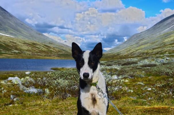 FB_IMG_1583879152825