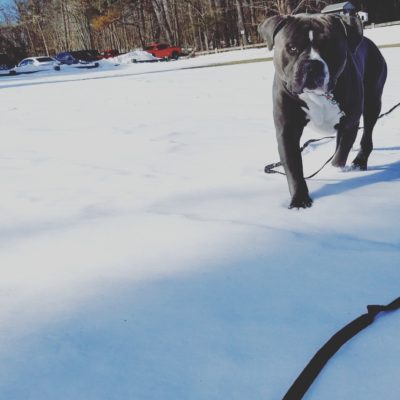 IMG_20210206_220912_148