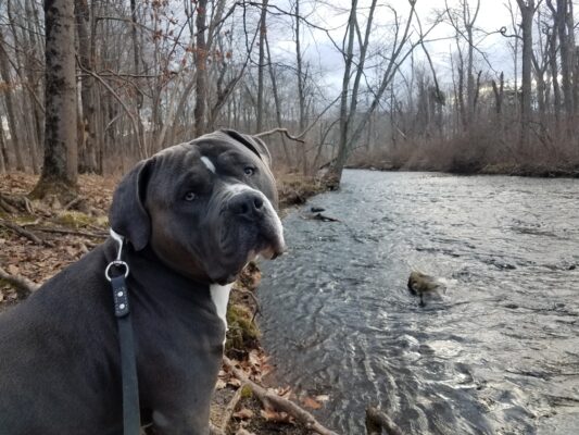 Resized_20210118_153448