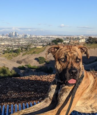 PXL_20201231_235428877.MP