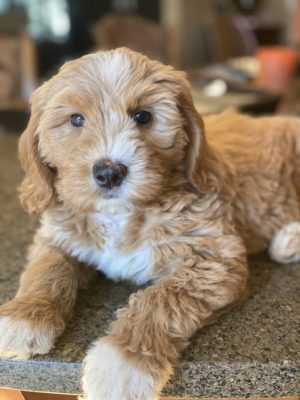 02C14253-C8BE-4859-B17A-1BE5D6C9D114