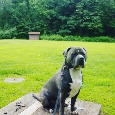 IMG_20210807_101227_806