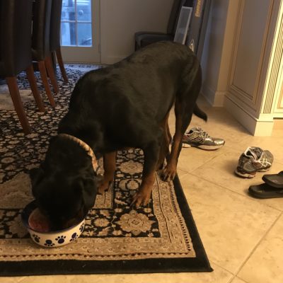 19A74C30-9B35-441E-8404-B0556D1C7C84