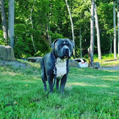 IMG_20210817_154939_825