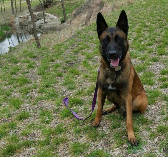 14889994_10209807378574914_874968795803806644_o