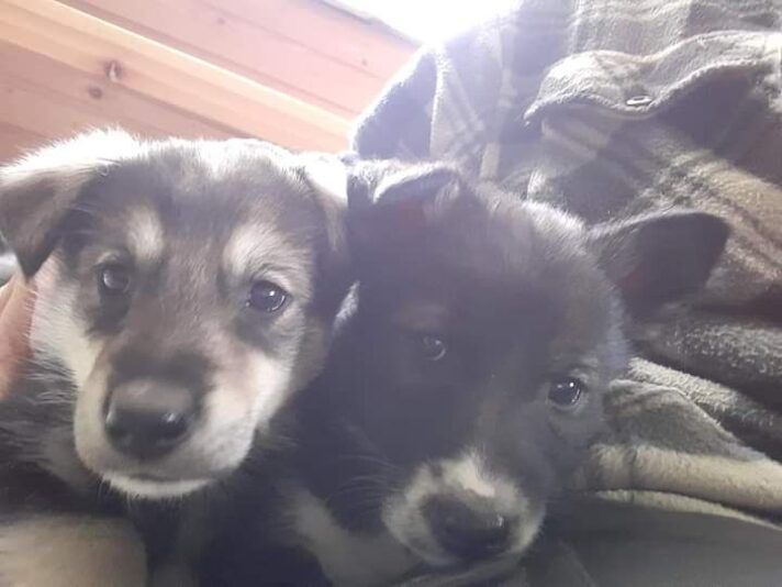 FB_IMG_1630924995290