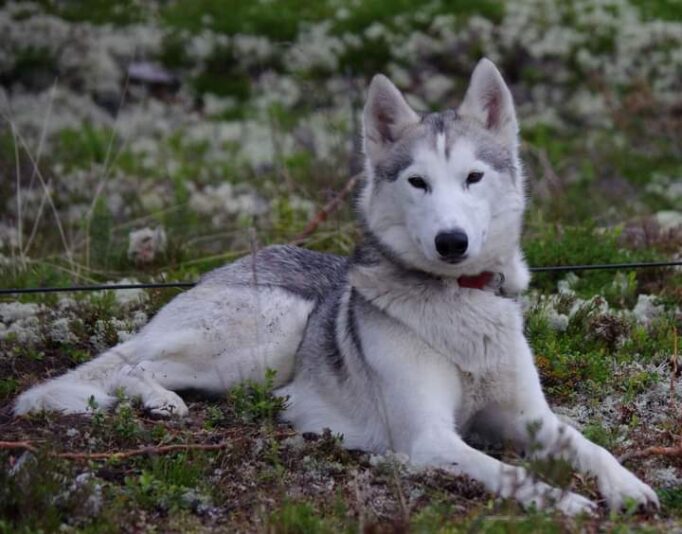 FB_IMG_1628807711108