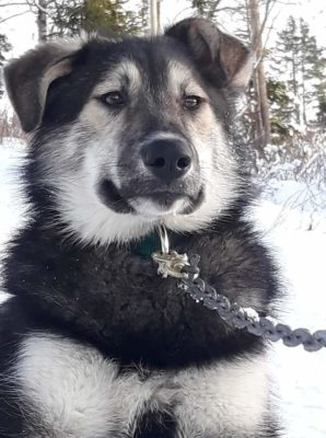 FB_IMG_1628809213789