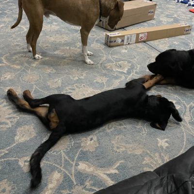 0D515802-2741-4061-9AFD-F73E9745F822