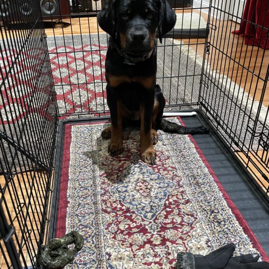 AE6E7C71-2A74-48AC-A8E6-521835290421