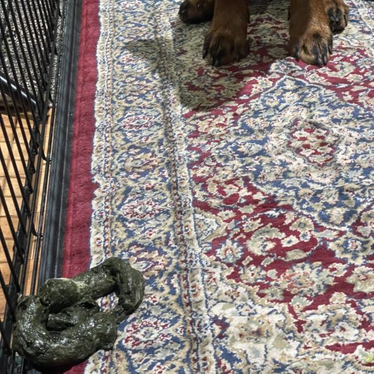 E27D3ADC-48AF-444A-B3AD-76DA40DE030A