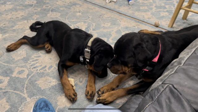 F6FD08C2-B30F-4DA9-8DC0-A6F747DEFFCB