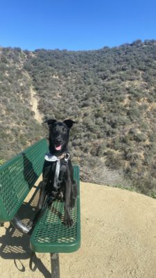 02142926-7B16-4595-9D87-52A7C1E9CC1F