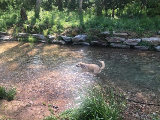 Lance at Coler Park 5-3-21