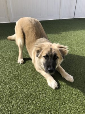 Halley DayCare day 2 pic2