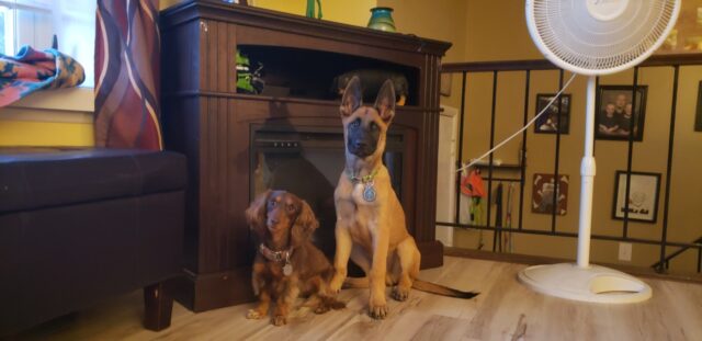 Resized_20200824_203207