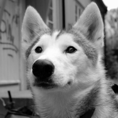 FB_IMG_1618329023668