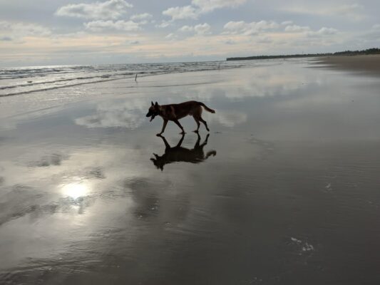 211280664_2897420457164050_5008140919609959950_n