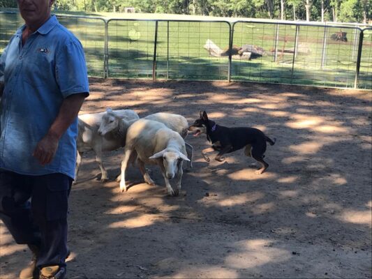 0591DA28-4EE8-4226-A881-0C3EEBAA0302