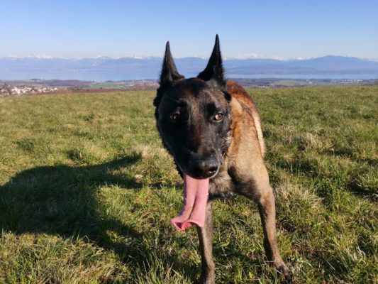 IMG_20210330_173738_1