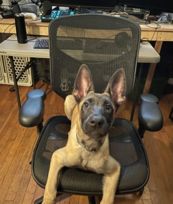 BA913F0A-8D46-4C01-9231-AA99019E4650