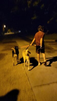 inbound3400764859214632403