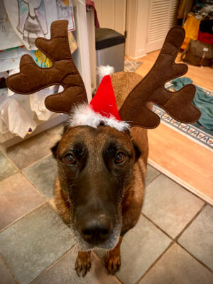 F19933FE-D910-42DC-B22F-B358BA48525B