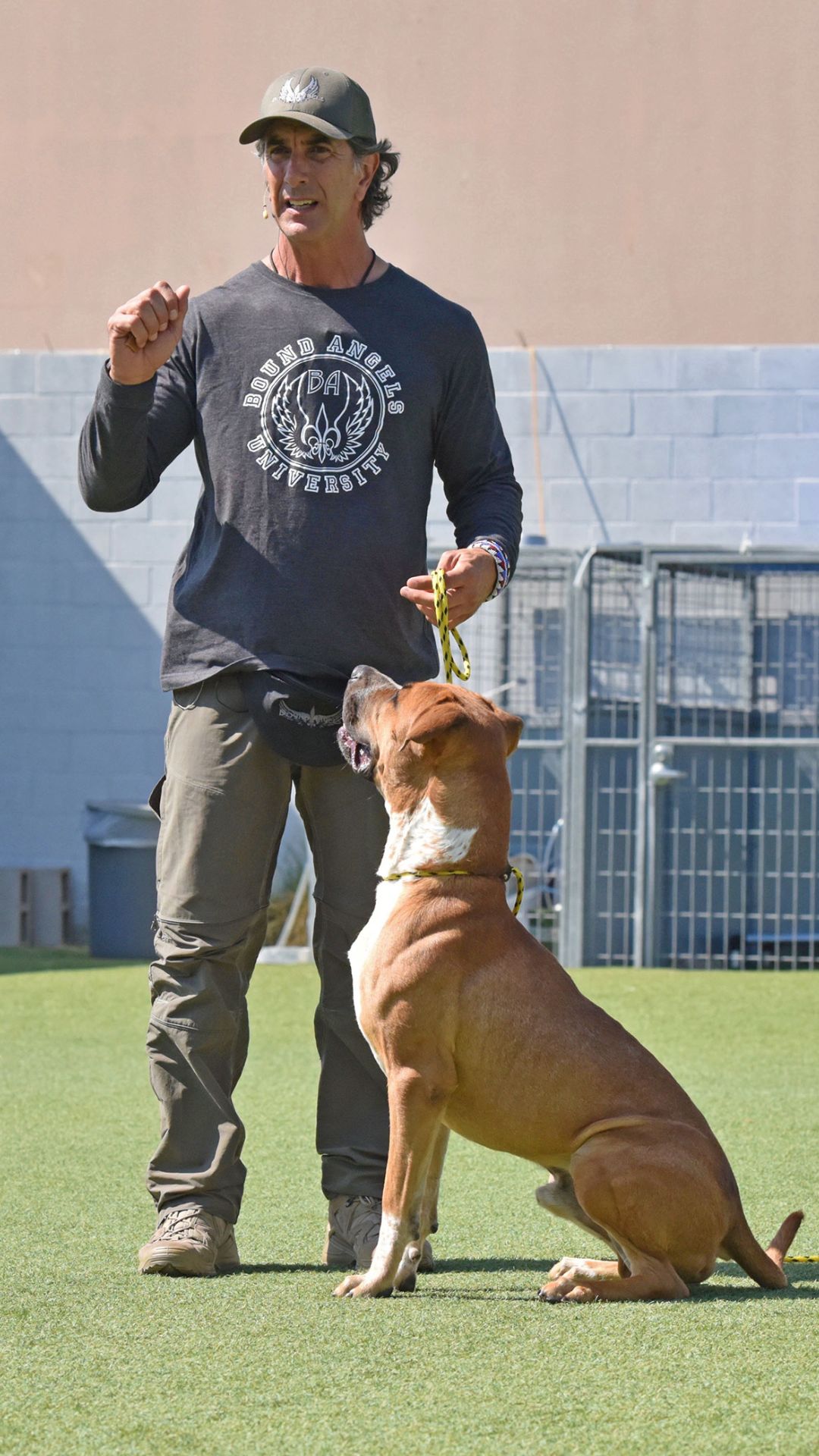 Robert Cabral shelter dog course